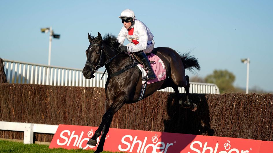 ✅️ Announced by Dan Skelton this morning - NUBE NEGRA has been retired. 🌟 Winner of three Graded races and second in a Queen Mother Champion Chase, he was a super horse for connections.