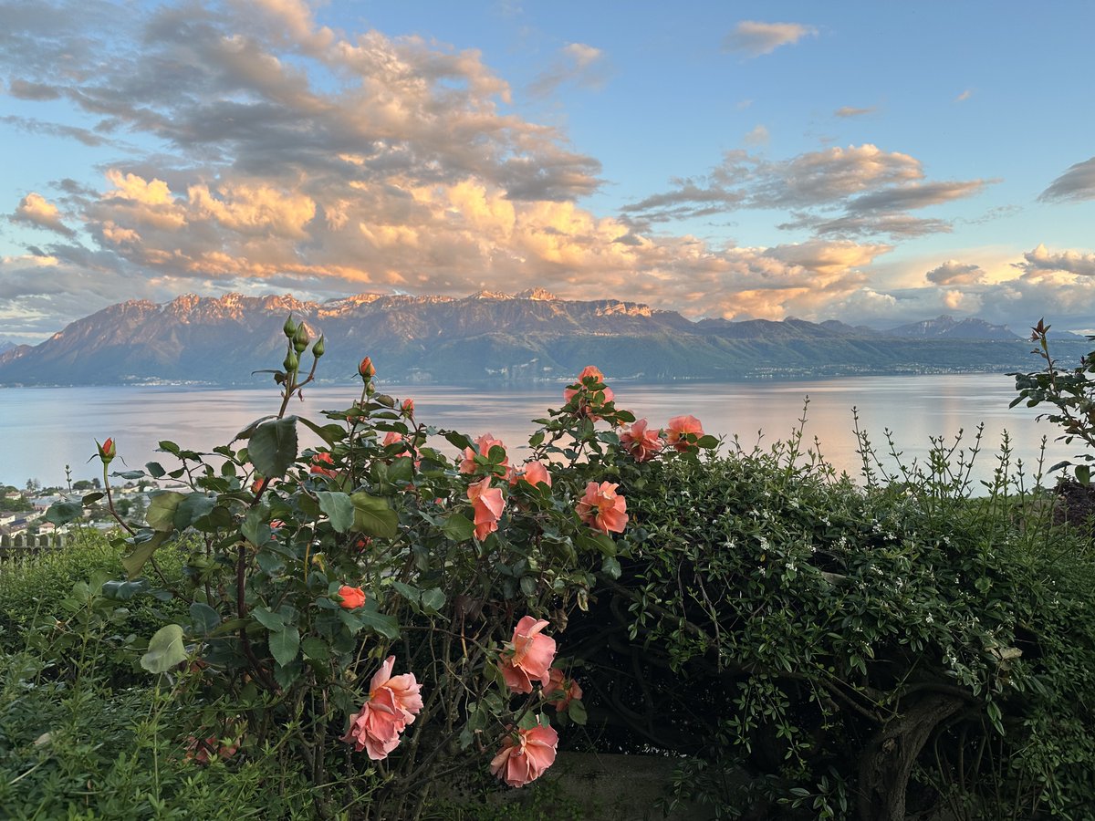 Pink and roses: enjoy the nice long week-end ⁦⁦⁦@MySwitzerland_e⁩