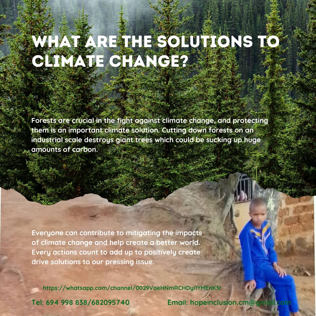 hopeInclusioncm's tweet photo. Climate change exacerbates the vulnerabilities of children in conflict areas with distinct impacts on boys and girls. These regions often experience more intense and frequent extreme weather events, food and water shortages, n displacement.
#takeactions 4 #savetheplanet #SDGoals https://t.co/l54X4AeDF0
