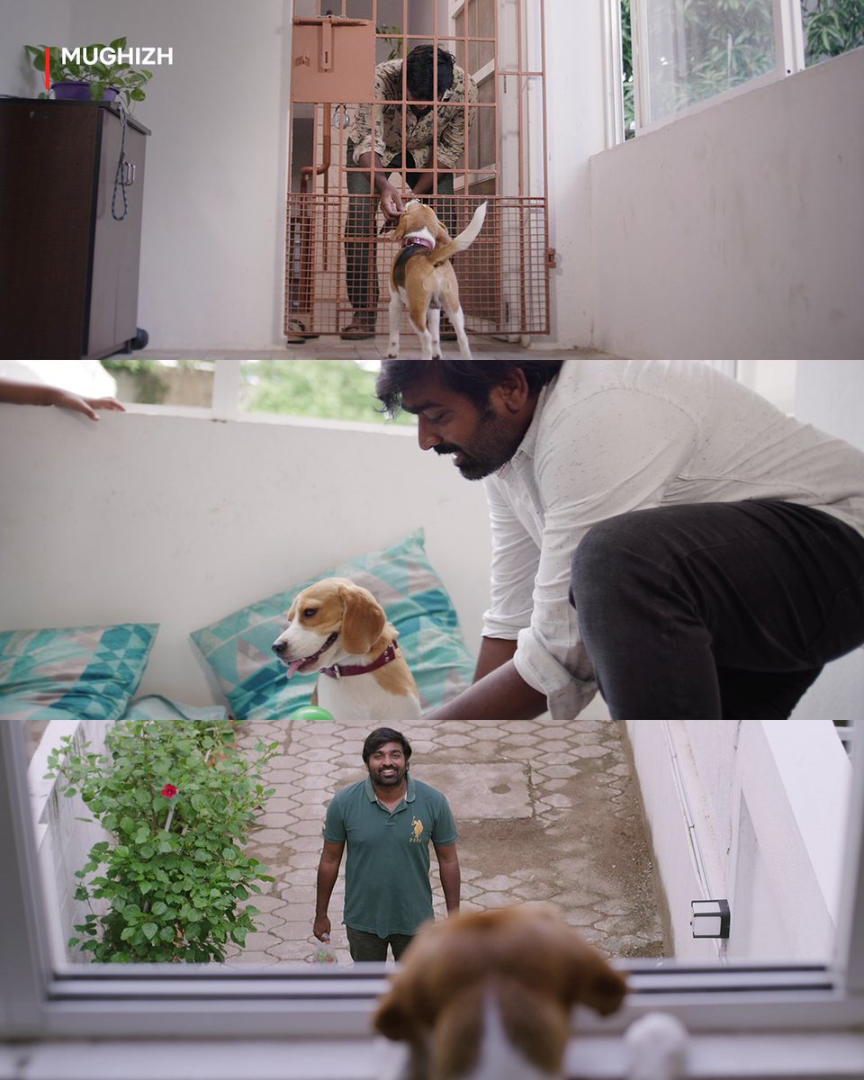 What’s better than VJS on screen? VJS on screen with a puppy, of course! 🥺❤️