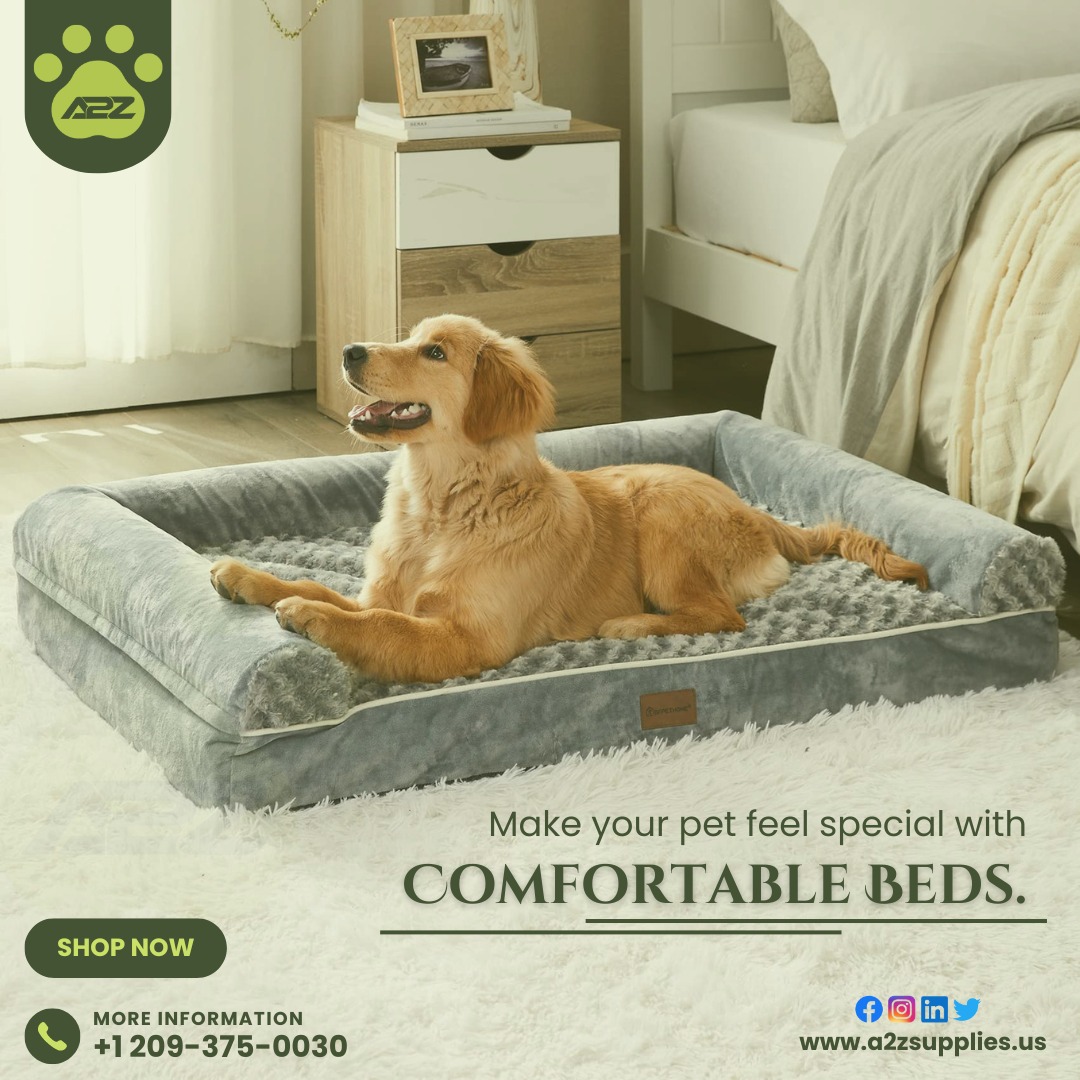 Allow Pet to spend more quality time with our exclusive collection of pet beds.
.
.
.
.
#A2ZSupplies #Shopnow #PetBed #DogBed #CatBed #PetFurniture #CozyPetBed #LuxuryPetBed #ComfyPetBed #PetComfort #twitterpost #twittermarketing #twitterpage.
Blog Link:- suppliesa2z.blogspot.com