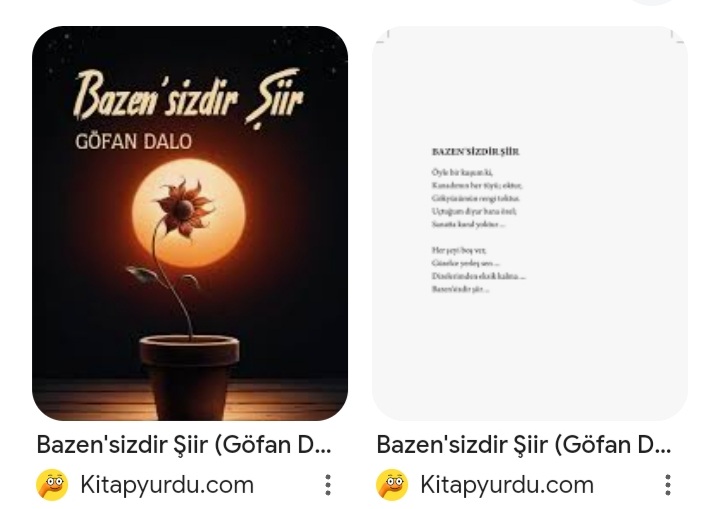 GOKHANDALOGLU's tweet photo. 13. Kitabım.. 11. Şiir kitabım çıktı🥳 Bazen'sizdir Şiir https://t.co/IoU584OHy6