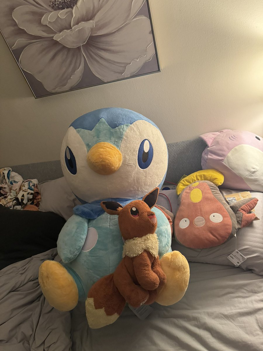My belated gifts finally arrived 🥺🥰. Big Pippy is everything I could have wished for 🐧#Pokemon #pippy #fisky #PokemonGOApp #eeveelutions #sleevee