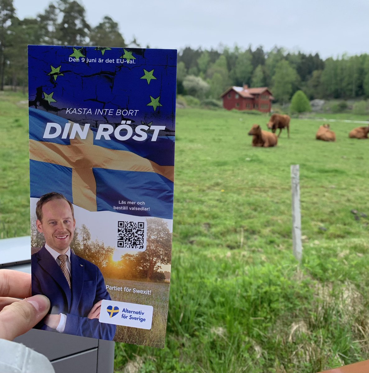 AfSKungsbacka's tweet image. 🚜 Nu är all landsbygd i de östra kommundelarna täckt med flygblad!
🚘 Det är många mil på grusväg…
📬 Det är ofta glest mellan brevlådorna…
🇸🇪 Men vi bryr oss om landsbygden. Där finns även flera av våra väljare. 👌🏻
#AFS2024 #swexit