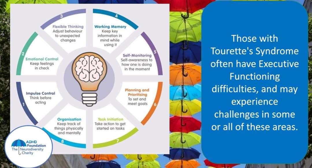 Those with Tourette's Syndrome may also have executive functioning difficulties including impulse or emotional control, flexible thinking, working memory, self monitoring, planning, task initiation and organisation. Challenges may be in some or all of these areas #tourettes