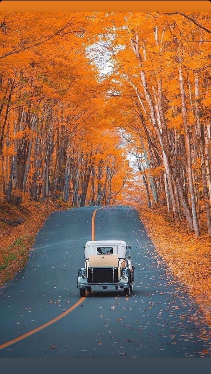 A peaceful and wonderful weekend for all...🧡🧡🧡