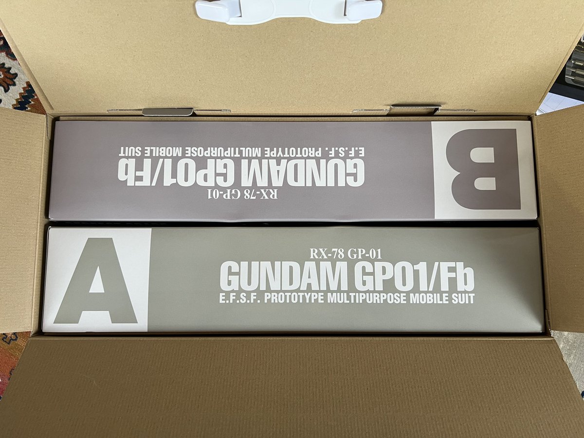 パーフェクトグレード
ガンダムGP01試作１号機

エアブラシの次は塗装ブースのメンテナンス🫡
うぉっ⁉️2年分の汚れがぁ〜😱😱😱
ちゃんとキレイに洗い流しました💦
さてと、そろそろ始めますか😁
まずはゼフィランサスから👍

#ガンプラ　#ゼフィランサス　#GP01