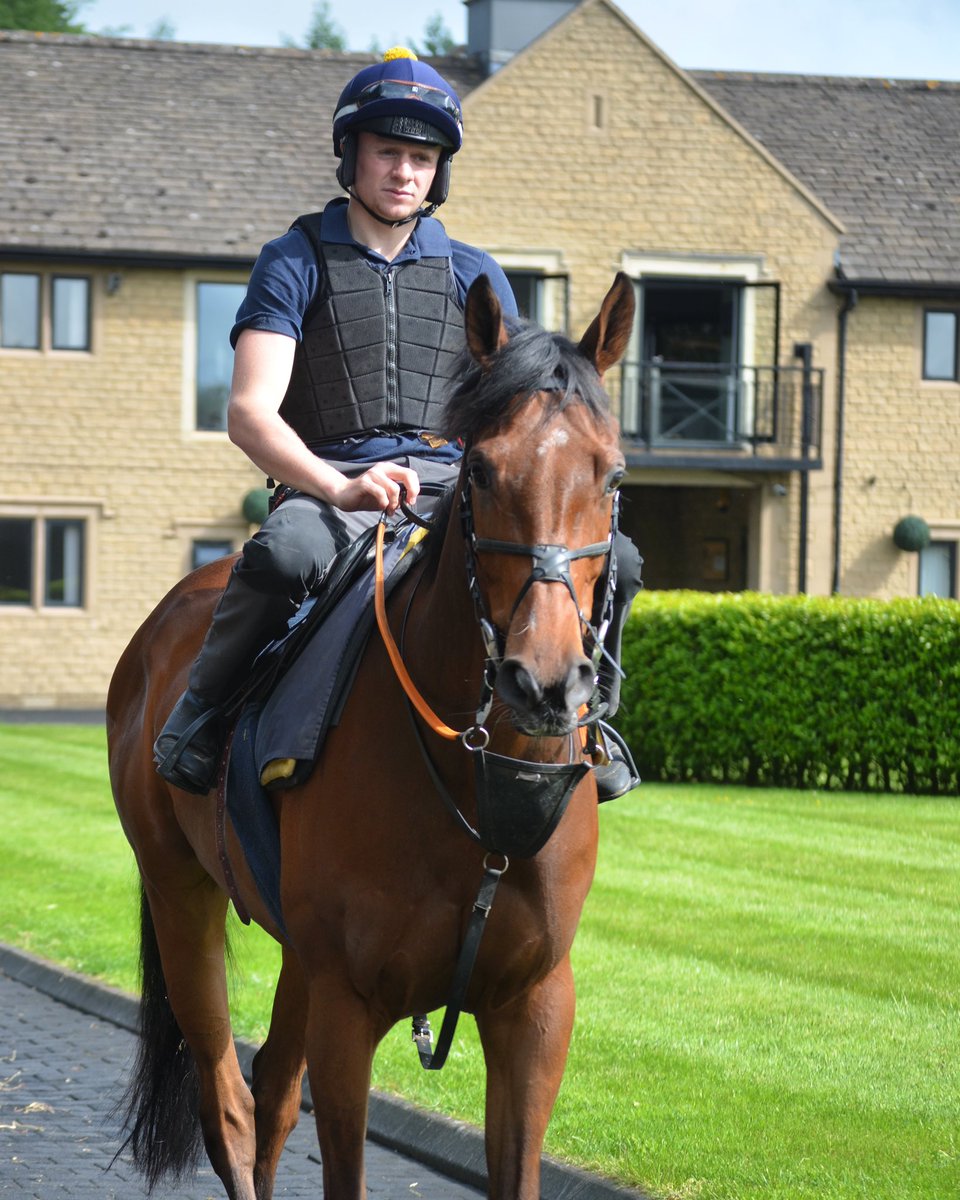 5 runners today Bangor. Jonj rides Ted’s Gift (pictured) in the 3.55 Maiden Hurdle, Prince Escalus in the 5.40 Handicap Chase and Limetree Boy in the 6.15 Handicap Chase Uttoxeter. Richie rides Collectors Item in the 6.30 Handicap Chase & Icare Allen in the 7.03 Handicap Hurdle