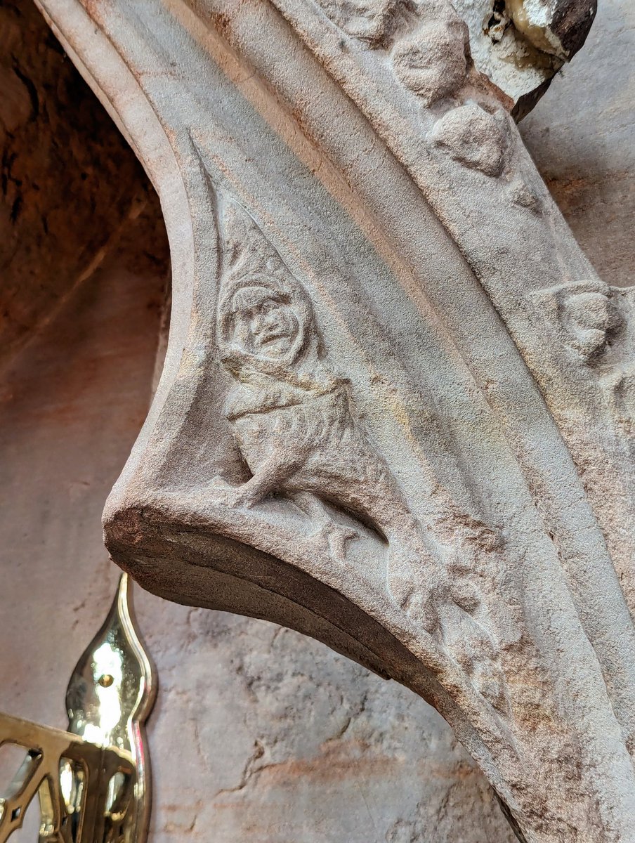 There's a plethora of strange creatures at Lichfield Cathedral, every combination you could think of!