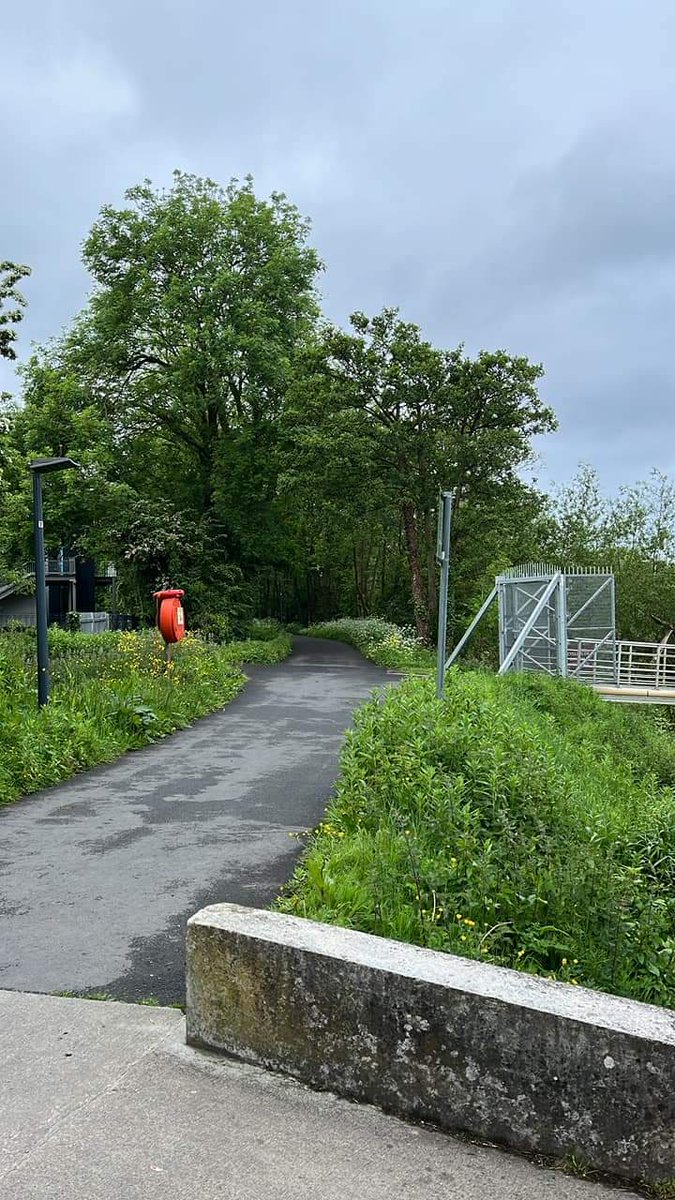 Limerick parkrun tweet media