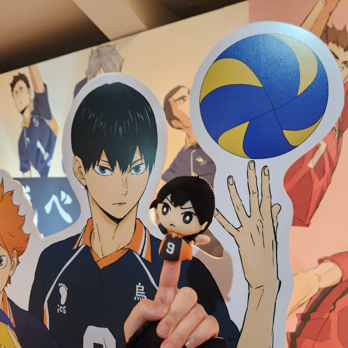 인놀을 시작하게한 장르 하이큐🥹