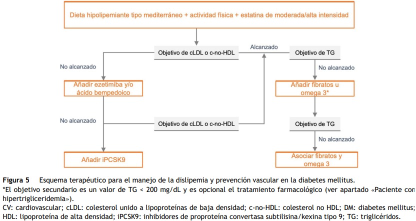 cardioteca's tweet photo. 🆕 Estándares de la Sociedad Española de Arteriosclerosis 2024 para el control global del riesgo vascular.

📕 Clínica e Investigación en Arteriosclerosis
🔓 https://t.co/Z4Kq3sPJc9 https://t.co/xAOW6WavVY