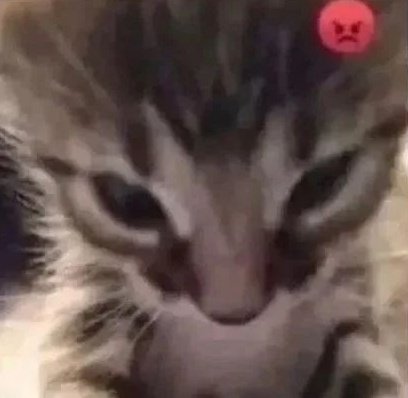 My laptop frooze when i accidently opened the vtuber file i finished ( it couldnt handle 140 layers )