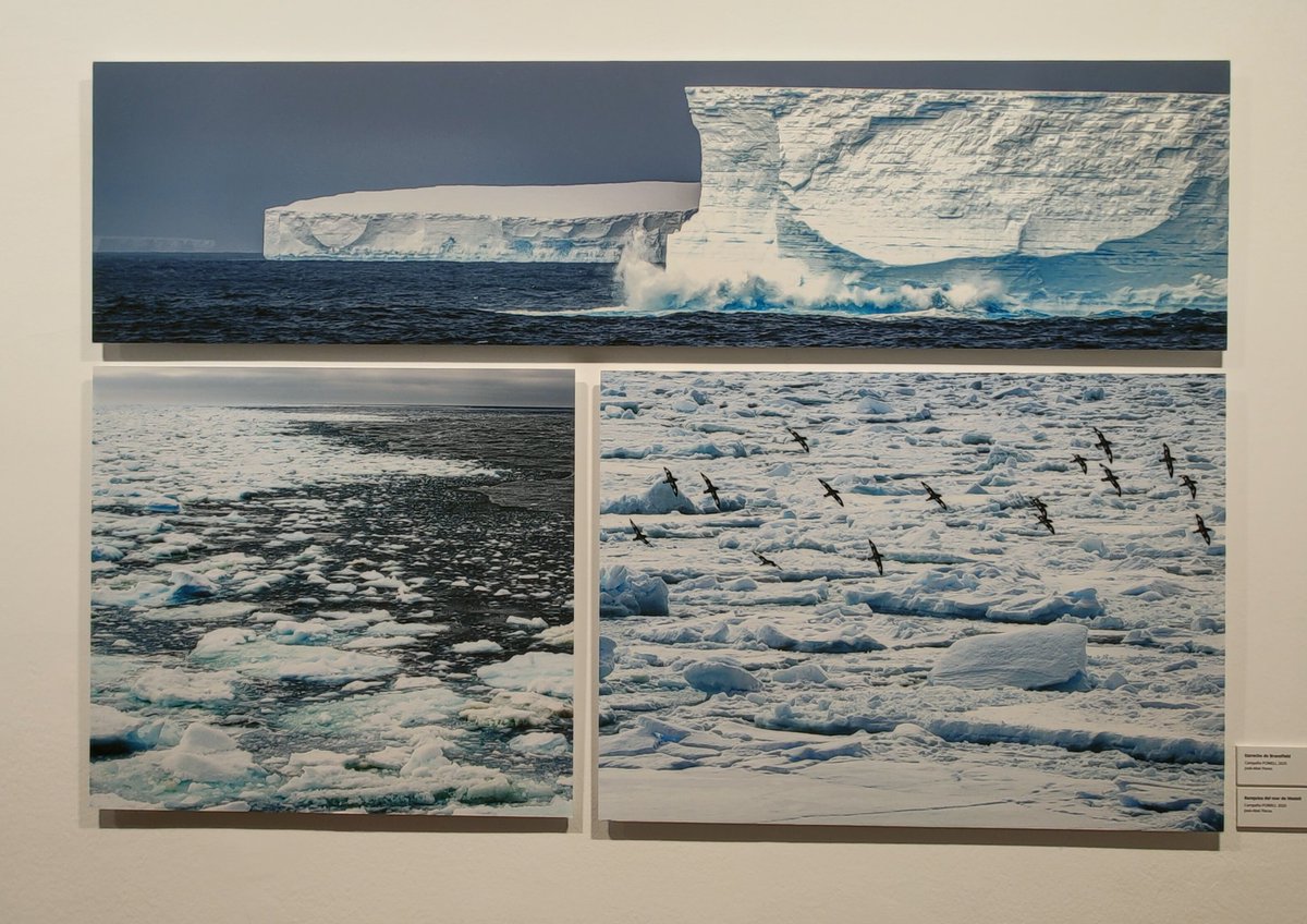 La exposición "En torno al blanco ",  enmarcada en el X Simposio de Estudios Polares , es una magnífica muestra de fotografías de <a href="/JosAbelFlores/">José-Abel Flores</a> y <a href="/sebas_alvaro/">Sebastian Alvaro</a> representando las zonas polares. En el patio de Escuelas Menores de la Universidad de Salamanca.