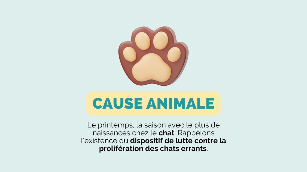 Gérer les chats errants avec humanité 🐈 Le printemps est la saison avec le plus de naissances chez le chat. Rappelons l'existence du dispositif de lutte contre la prolifération des chats errants 🐾 👉 Formulaire de signalement : bit.ly/4atmDnI