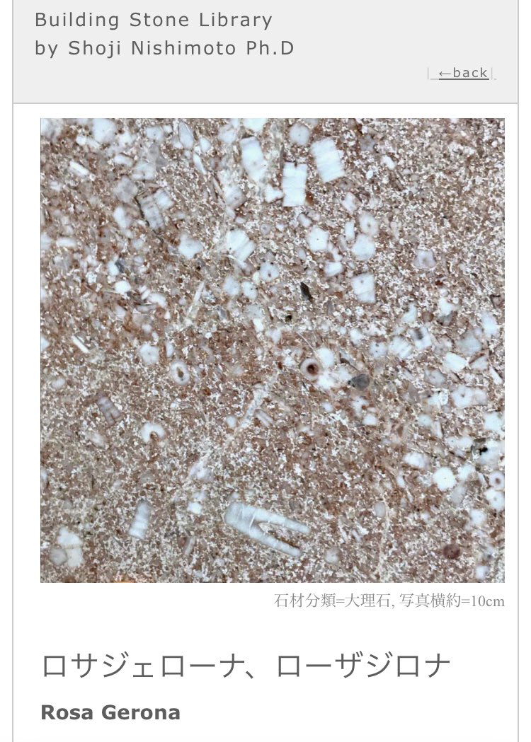 <a href="/lHmjJZ0X7aAwt2V/">めじぇどさん</a> スペイン産のローザジロナだと思います。