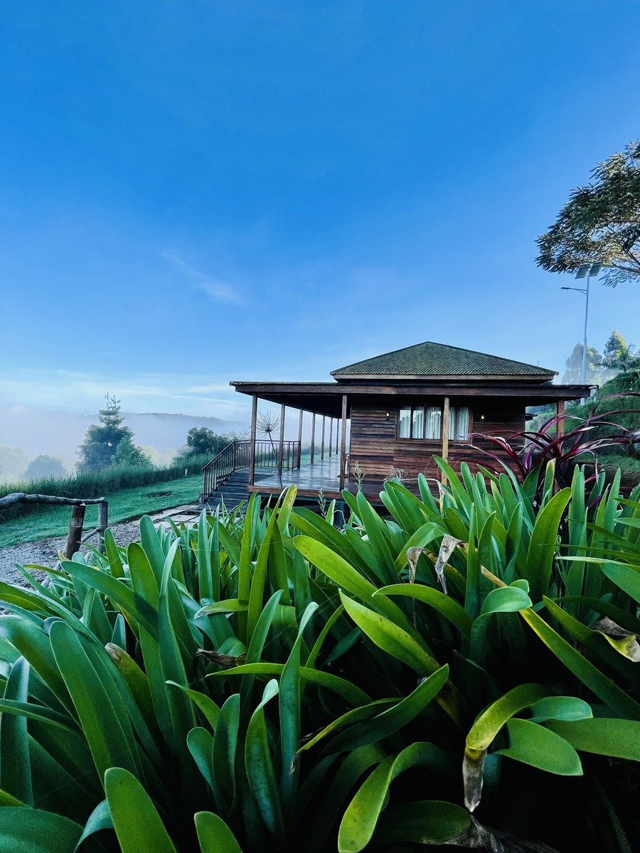 atuKatt's tweet photo. @The_Dave_Mani @OngeriSafaris Safe journey, eagerly waiting for your shots 📸. Hope you get to visit lake Bunyonyi (Arcadia lodge in particular) to see the inspiration for Wanda (Black Pantha). As well as a stopover at @numba_cafe for the best pancakes 🥞 south of the equator.
📷 @ErosTravelog
📷 @KemptenSafa https://t.co/ubd8TVBOx8