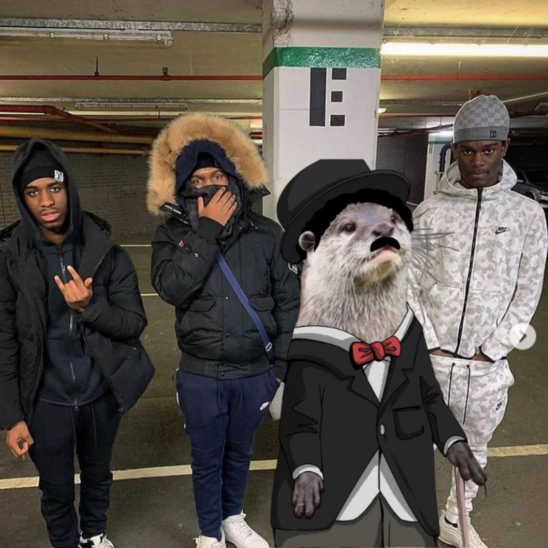 Strphano1's tweet photo. @franklinisbored I choose the otter, boni the otter $Botter 

GZpibuWoZTh58THGGbTGh4eMFabCbU57PBbW99k6MVJ https://t.co/NqJHpY5J68