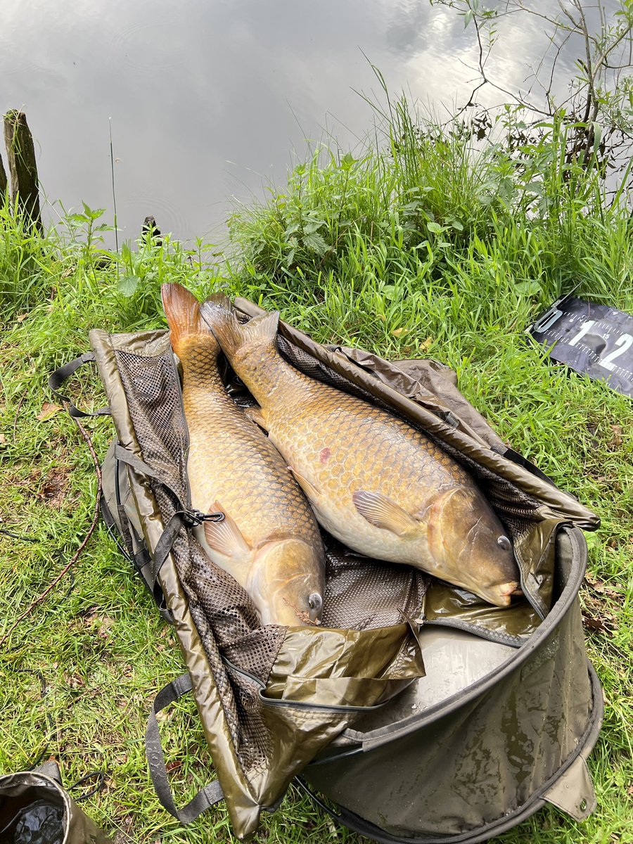 Frohe Pfingstfest Euch 🤓🎣🕊️🤘