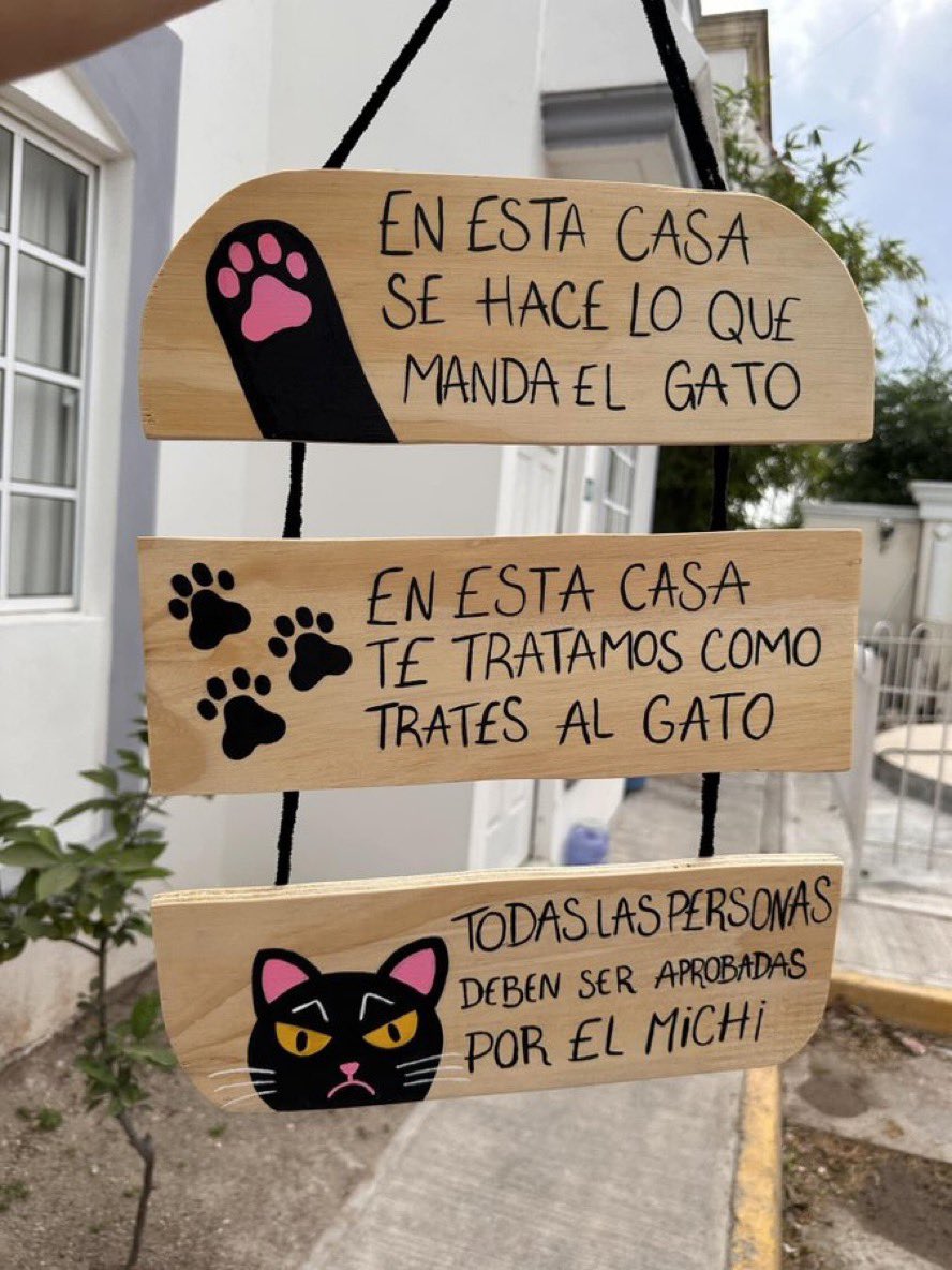 CorellaTej7982's tweet photo. #gato #caturday #adopta #adoptaungato #gata #home #sweethome #hogar #dulcehogar #neko #muchis #minino #felizsabado 👍😱🤣😻😍😰🙊 https://t.co/AHjwtBUUiq
