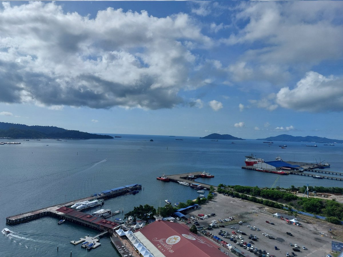 Kate Couzens tweet media