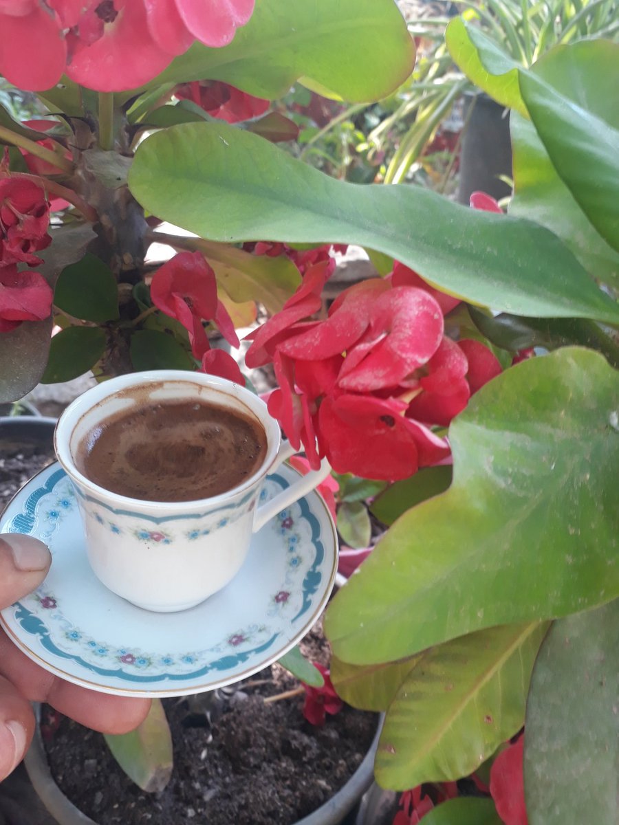 Herkese günaydın mutlu cumartesi  ler kahveye buyurun