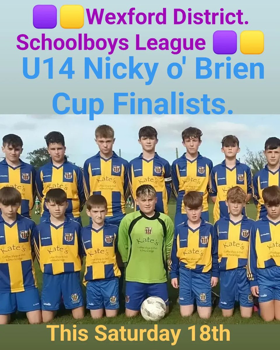 Good morning all its Cup Final day for our u11s & 14s boys in Shamrock Rovers Afc pitch Enniscorthy. The 11s play Glynn Barntown at 11am and the 14s play New Ross Town at 1pm. All your support would be greatly appreciated by the lads.