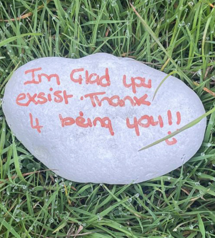 Shout out to whoever left the trail of life affirming stones along the road at #DivisMountain. So many people stopped and read them this morning #signs #connections #mentalhealth