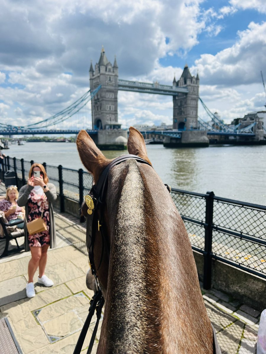 Lovely picture of the Birthday Boy #PHPollard @TowerOfLondon yesterday. Always striking a pose for the public whilst giving #CrimePrevention advice #phonesnatch @CityPolice