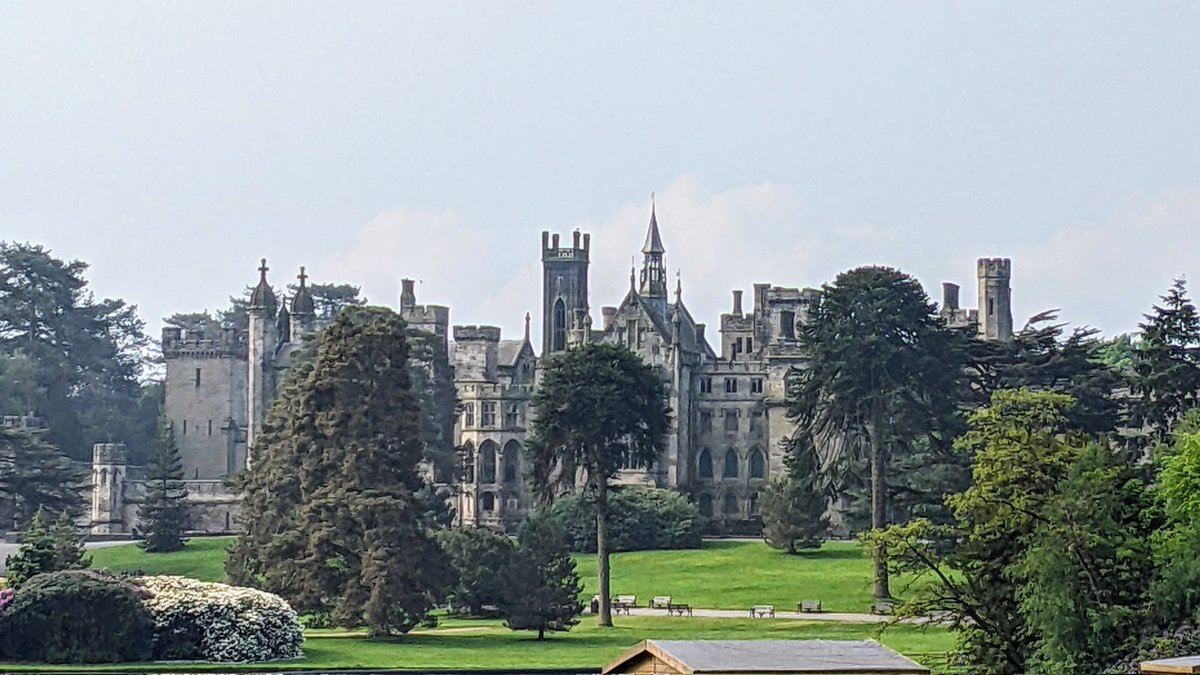 codetocoaster's tweet image. It's an Alton Towers kind of day