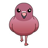 hakobiya76's tweet photo. フラミンゴハトが出現!
超可愛いハトにもっと配達させよう！ https://t.co/9Qen2KTvLz