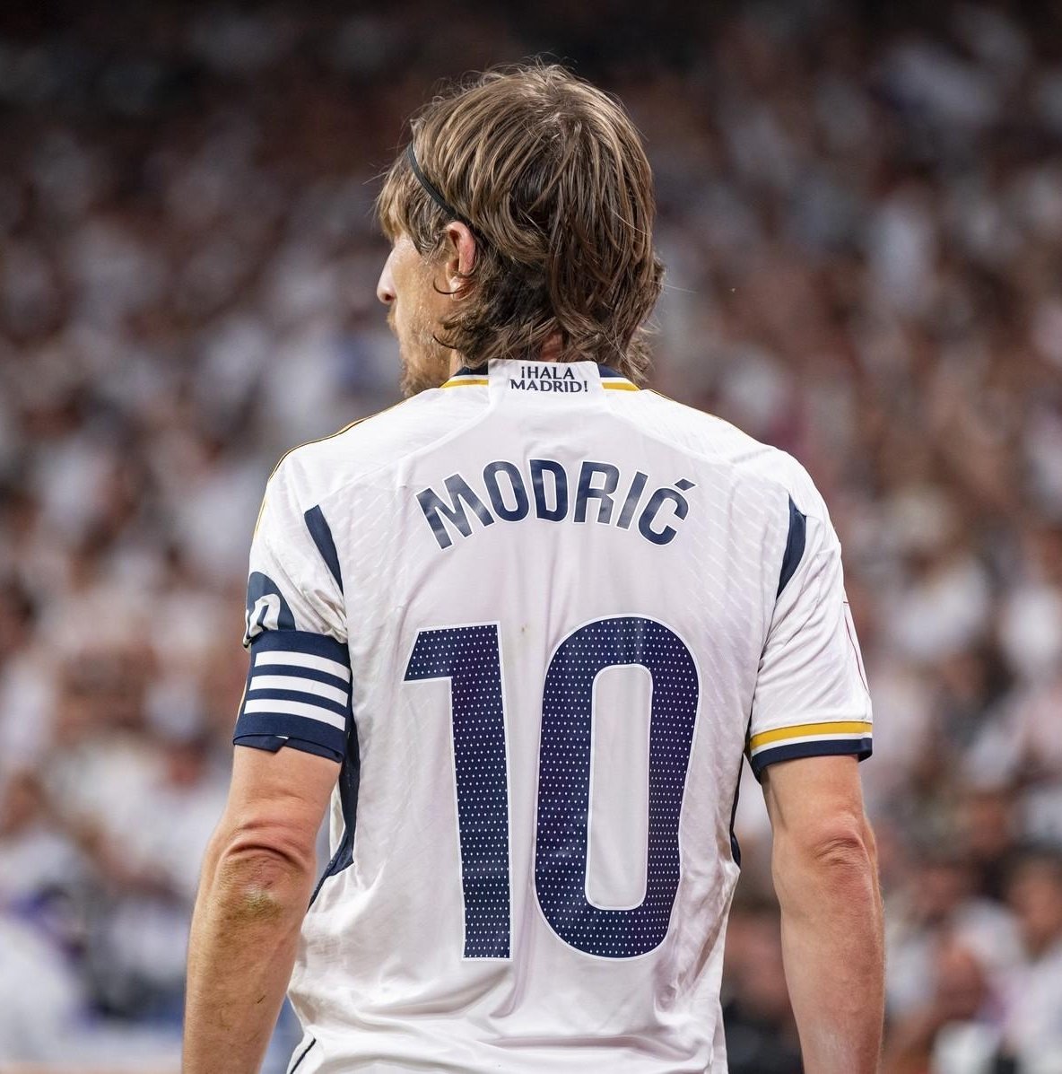 MadridXtra's tweet photo. 🗣 Pedja Mijatovic: "Luka Modrić's secret? With him, it's about complete dedication. We are neighbors, friends, we see each other, hang out, and no player I know is so dedicated to football. He, for example, knows all the players in the English, German or French leagues better than any scout. Really amazing, man is a computer. He follows absolutely everything. He watches MLS, the league of Saudi Arabia, absolutely everything. Never movies, just football and football.  

Then there's his professionalism. Sleeping, eating, training, everything arranged to the maximum. People wonder if it is possible to last that long. Yes, it is possible, but only if you are Luka Modrić. He is phenomenal." [SN]