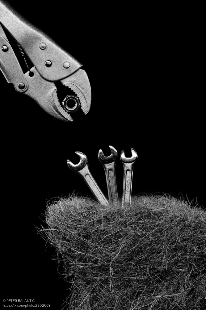 'Feeding' by PETER BALANTIC 1x.com/photo/2802663/… #tools #fineart #nest #birds #feeding