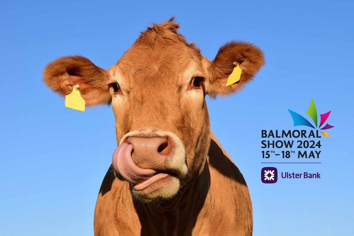 Up to 1 in 10 people locally are at risk of #IronOverload #haemochromatosis. Drop by stand EK19 Eikon Village for info - NI's most common undiagnosed genetic condition. Visit us for advice & info on getting tested. #EarlyDiagnosisSavesLives #NorthernIreland #BalmoralShow