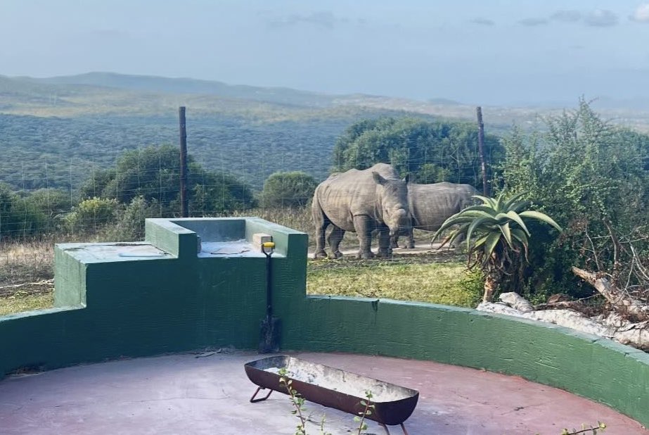 Surprise visit of our rhinos at our Volunteers camp 🦏🦏❤️