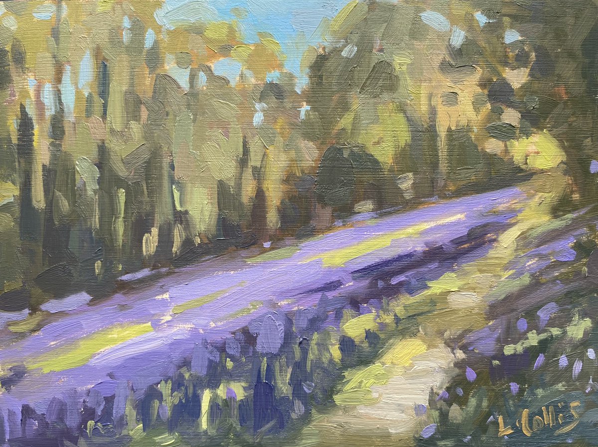 Bluebell Carpet, Malvern. 8”x6” oil on board . This is one of the paintings I did on my recce trip to the Malvern Hills at the beginning of May. I’m planning on painting in my local bluebell woods tomorrow, hopefully they’re still looking good. #PleinAir #malvern #malvernhills