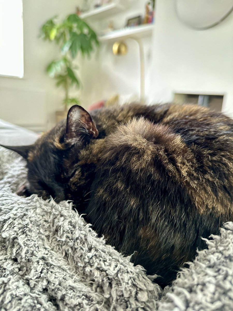 Ms Richardson tweet media