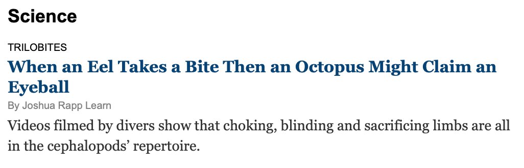 TimReinvented's tweet image. I’ve never experienced it before today, but The New York Times had a headline today that you can sing: