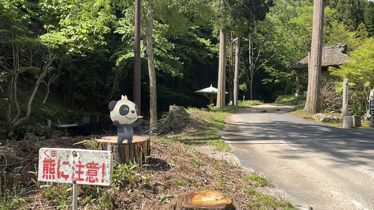 ⁉️パンダ🐼

かわいい🐻？🐼？に遭遇❗️

#CuteAR大会2024 
#GOsnapshot #ARofTheDay 
#ヤンチャム #PokemonGO