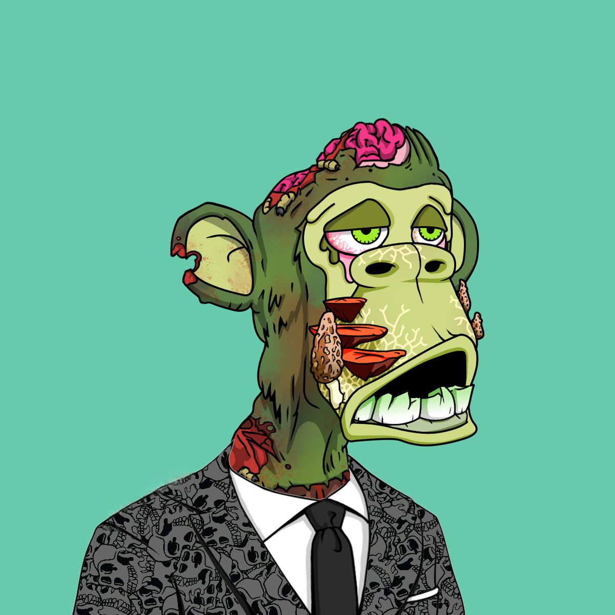 TaoKoltes tweet media