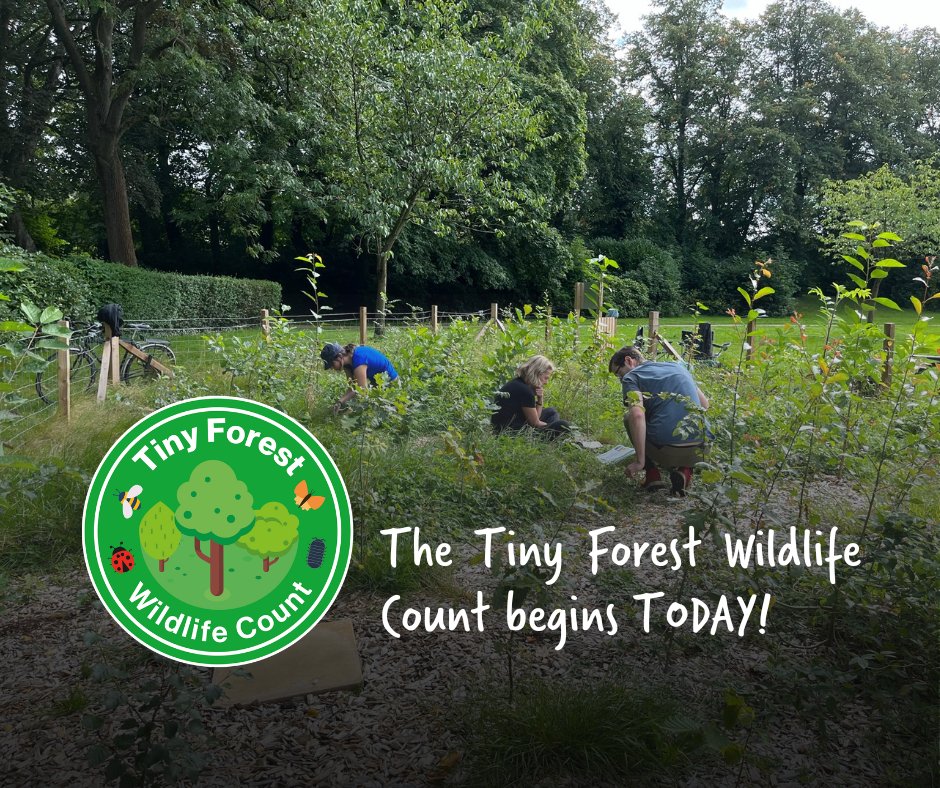 The #TFWildlifeCount is finally HERE! 🐝🦋🐌 Sign up, head to your local #TinyForest this week and complete the wildlife surveys. Everyone who submits a survey can enter into a prize draw to receive a wild gift! Go here to take part 👉 org.pulse.ly/rddvdg5lxt