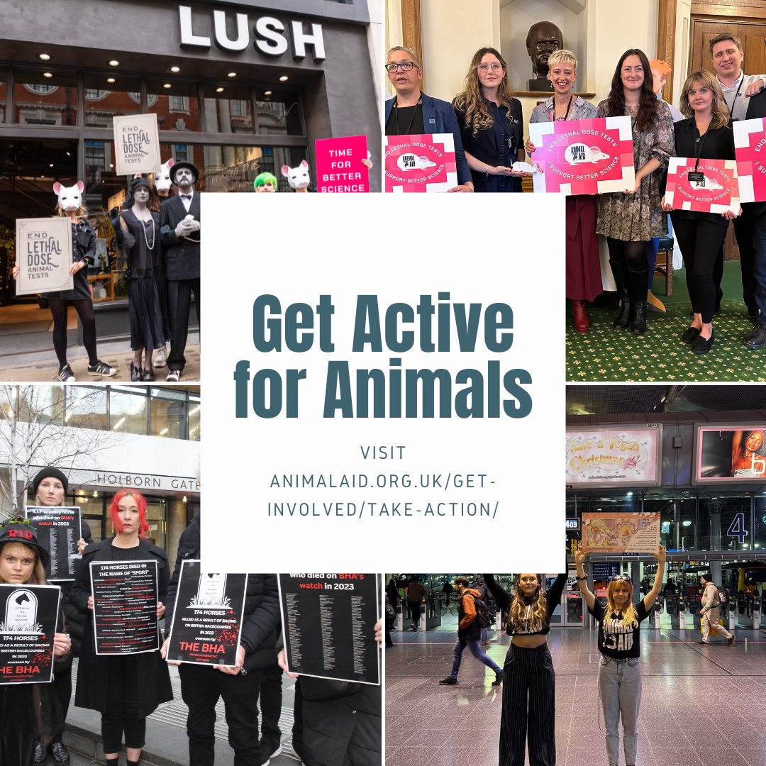 Animal Aid tweet media