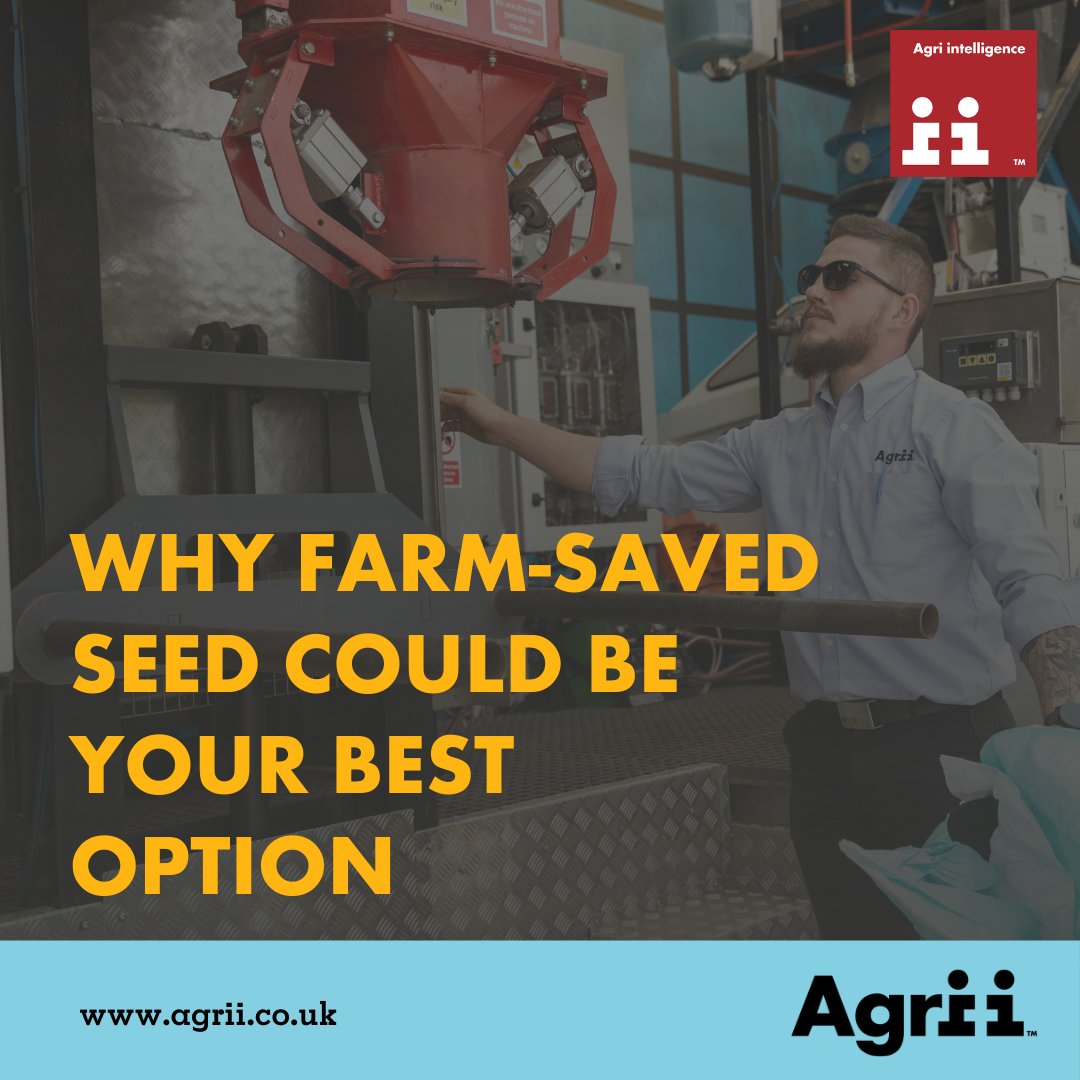 🌱Full control of your own seed production 🌱Cost savings and cash flow benefits 🌱Seed available when required 🌱Flexibility around quantities and treatments 🌱Increase thousand grain weights Discover more here - loom.ly/J_u1kF0