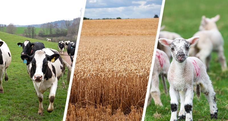 NFU members | Has wet weather affected your farm? We’re asking our arable, livestock and dairy members to help us understand how the wet weather has impacted their businesses. Fill out our short survey👉ow.ly/s4NW50RJvE3