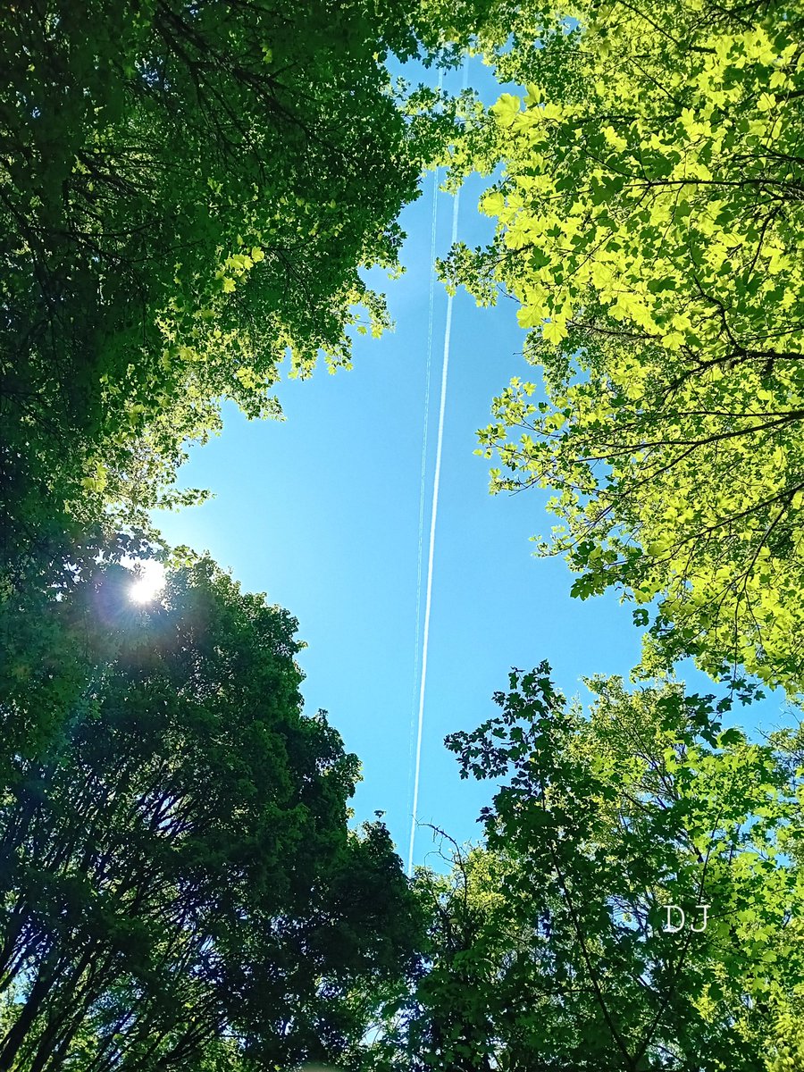 Beau Samedi à tous 😊💚🩵🌤🌿