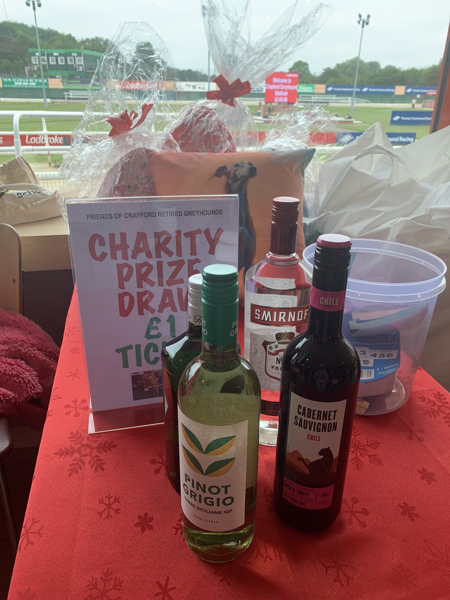 And they’re off… Rosie & Sally greeting today’s racegoers @CrayfordStadium  It looks like another busy afternoon ahead. 💕🐾#thejourneycontinues #retirednotrescued #greyhounds #charity #comeracing