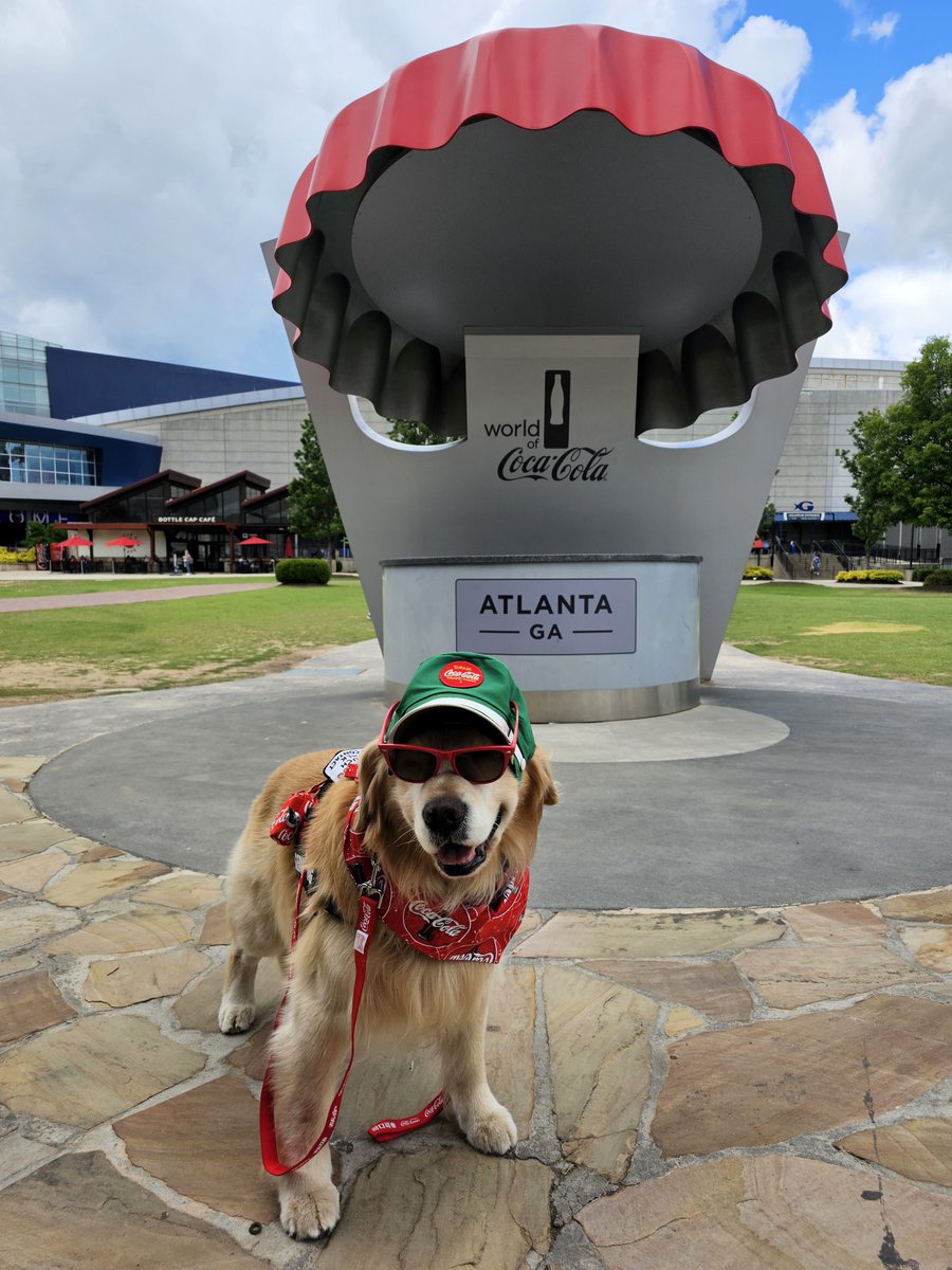“Have a Coke and a smile.” – Slogan 1979
@WorldofCocaCola #CocaCola #AtlantaGA

#dogsoftwitter #foodallergies #dog #puppy