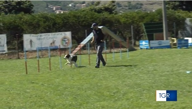 Nel @TgrRai Sicilia delle 14: Week end da cani A Palermo, fino a domani, in mostra i migliori amici dell'uomo. Tra bassotti e labrador, spazio anche ai cani di forze dell'ordine e protezione civile Seguiteci anche sul web --> rainews.it/tgr/sicilia/