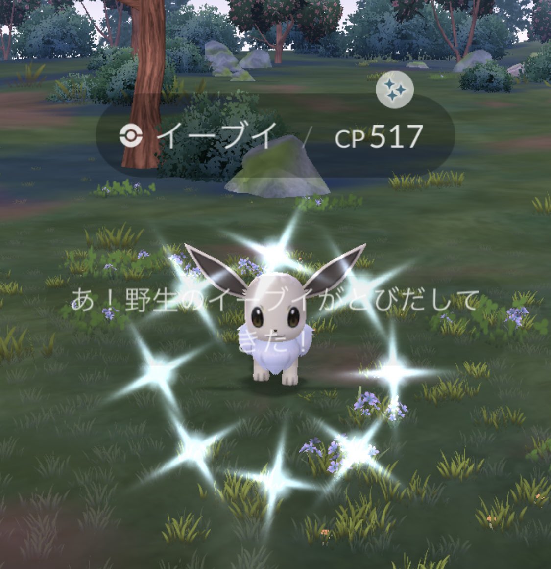 色違いイーブイ来た〜！
めっちゃ嬉しい😆
#ポケモンGO