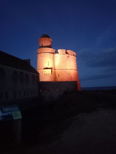 Les élèves de 1STL et des étudiants du BTS Métiers de la Chimie ont participé à un séjour de 3 jours sur l'île de Tatihou, au programme : étude du plancton, visite de la cité de la mer de Cherbourg, etc...Tout ça sous le soleil du Cotentin ! Ils sont rentrés ravis et bronzés !